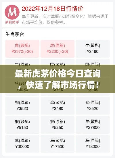 最新虎茅价格今日查询，快速了解市场行情！