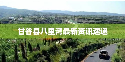 甘谷县八里湾最新资讯速递