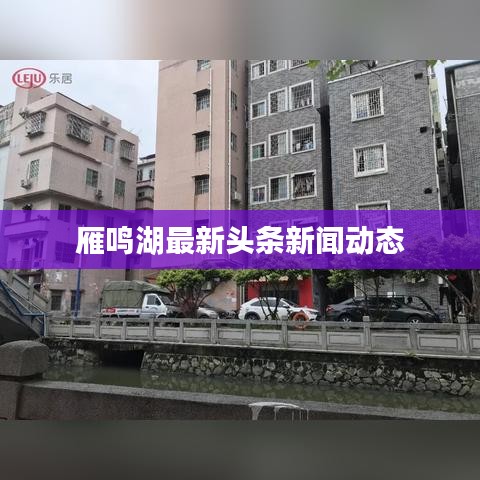 雁鸣湖最新头条新闻动态