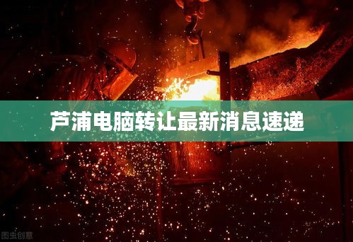 芦浦电脑转让最新消息速递