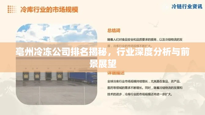 亳州冷冻公司排名揭秘，行业深度分析与前景展望