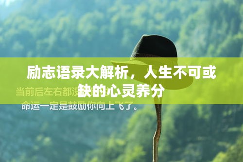 励志语录大解析，人生不可或缺的心灵养分