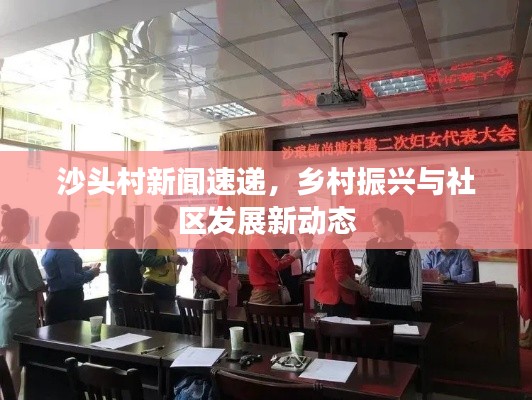 沙头村新闻速递，乡村振兴与社区发展新动态