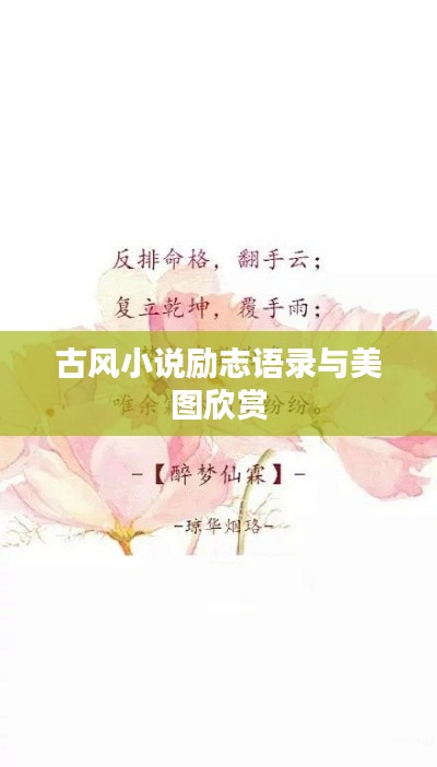 古风小说励志语录与美图欣赏