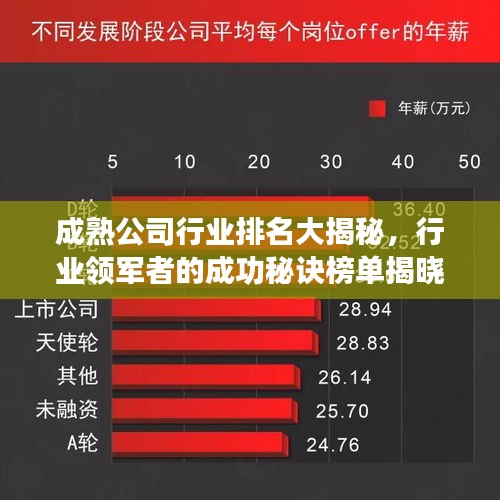 成熟公司行业排名大揭秘，行业领军者的成功秘诀榜单揭晓！