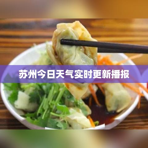 苏州今日天气实时更新播报