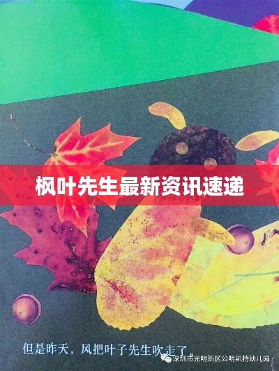 枫叶先生最新资讯速递