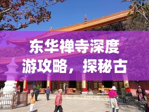 东华禅寺深度游攻略，探秘古刹，体验禅意之旅