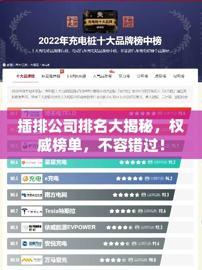 插排公司排名大揭秘，权威榜单，不容错过！