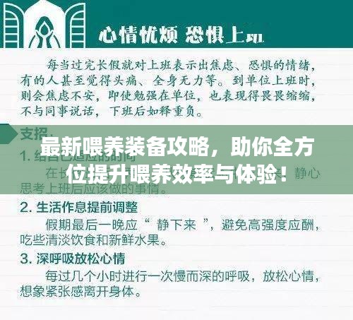 最新喂养装备攻略，助你全方位提升喂养效率与体验！