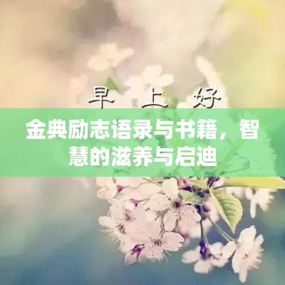 金典励志语录与书籍，智慧的滋养与启迪