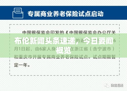 布伦新闻头条速递，今日要闻概览