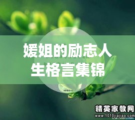媛姐的励志人生格言集锦