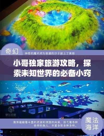 小哥独家旅游攻略，探索未知世界的必备小窍门