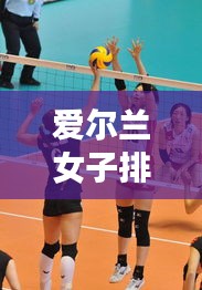 爱尔兰女子排球世界杯，历史名次回顾与未来前瞻