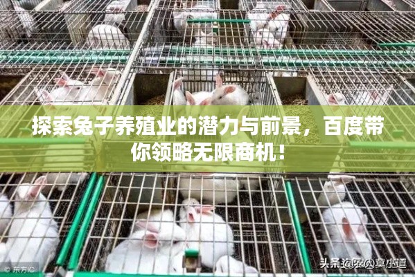 探索兔子养殖业的潜力与前景，百度带你领略无限商机！