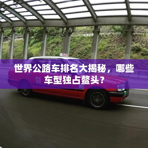 展翅欲飞 第2页