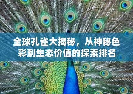 全球孔雀大揭秘，从神秘色彩到生态价值的探索排名
