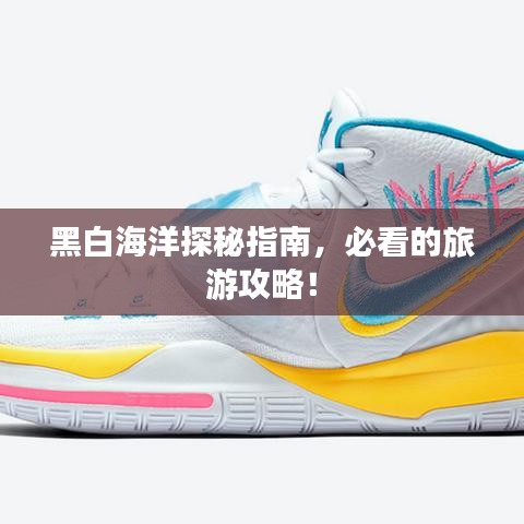 黑白海洋探秘指南，必看的旅游攻略！