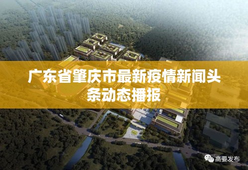 广东省肇庆市最新疫情新闻头条动态播报