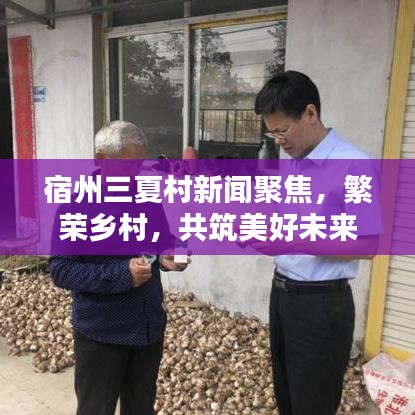 六鹢退飞
