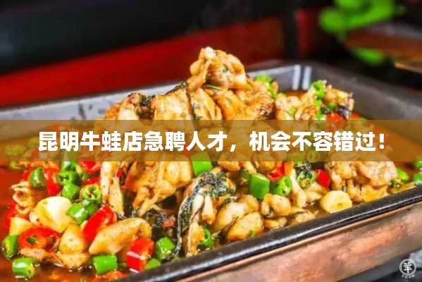 昆明牛蛙店急聘人才，机会不容错过！
