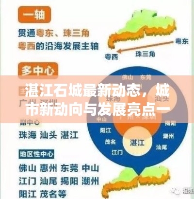 湛江石城最新动态，城市新动向与发展亮点一网打尽