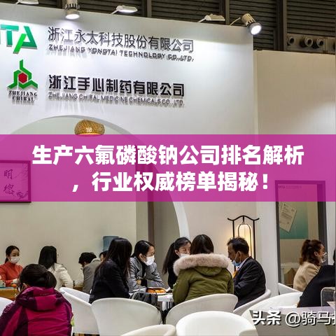 生产六氟磷酸钠公司排名解析，行业权威榜单揭秘！