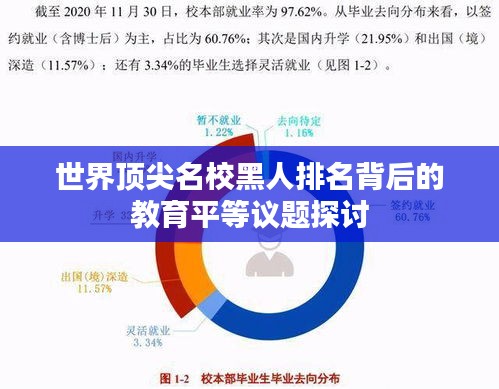世界顶尖名校黑人排名背后的教育平等议题探讨