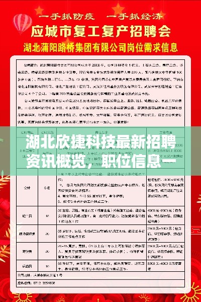 湖北欣捷科技最新招聘资讯概览，职位信息一网打尽