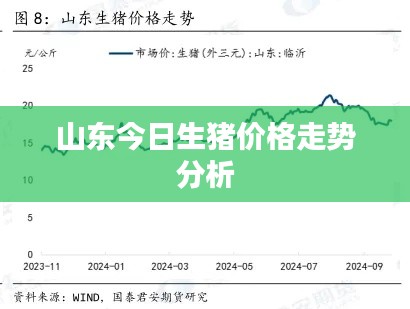 山东今日生猪价格走势分析
