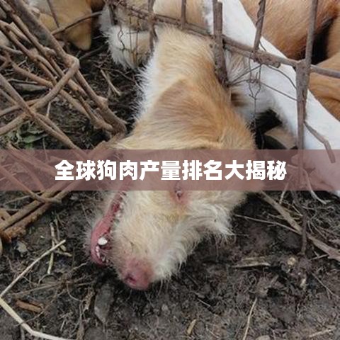 天生万物，唯人为贵 第2页